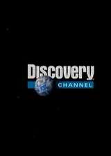 Discovery-˲亣