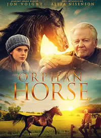 Orphan Horse