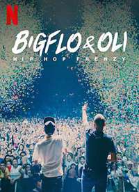 Bigflo&Oli񳱺